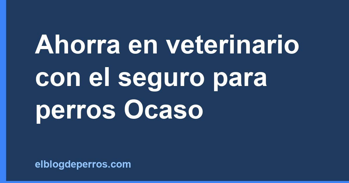 Ahorra en veterinario con el seguro para perros Ocaso