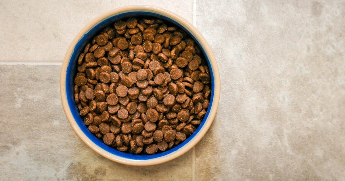 Dorada para perros sin sustos ni atragantamientos