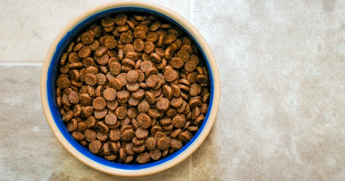 Elegir comida para tu perro solo por precio sale caro