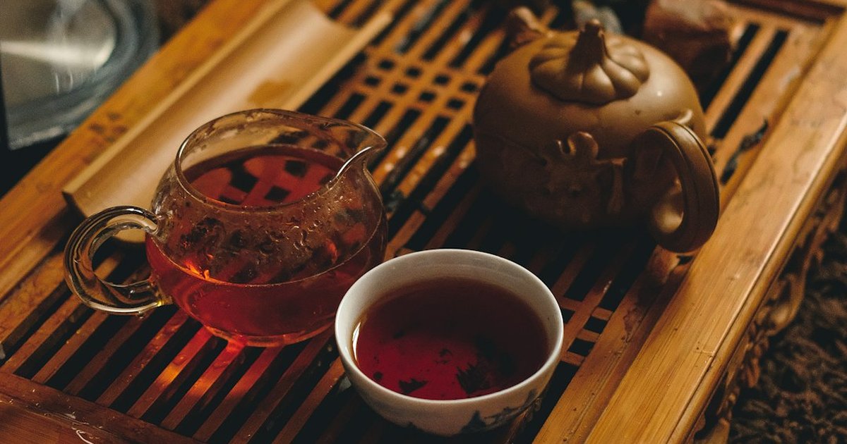 Infusiones seguras para tu perro sin ponerlo en riesgo