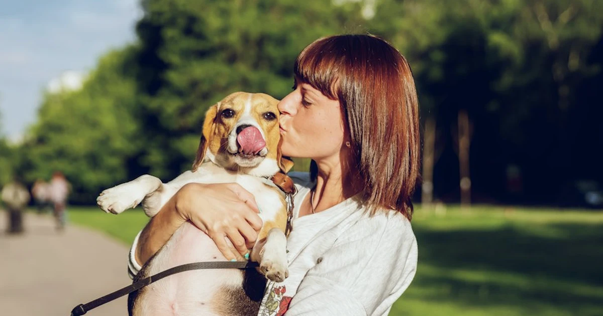 La garantía del cuidado no paga siempre al veterinario