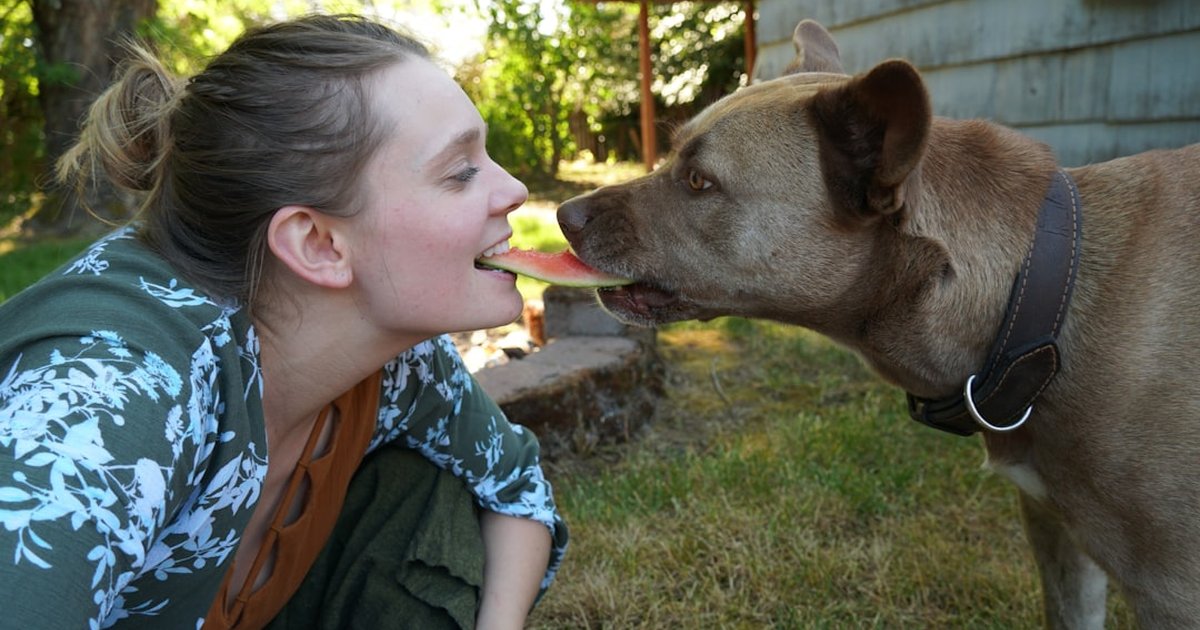 Por qué tu perro se aleja cuando lo besas