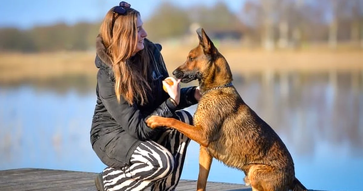 Si tu perro se aleja, quizá estás forzando el vínculo