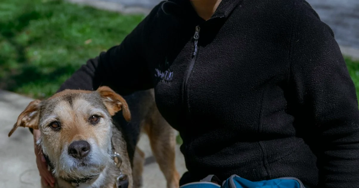 Tener clientes no elimina trámites al cuidar perros