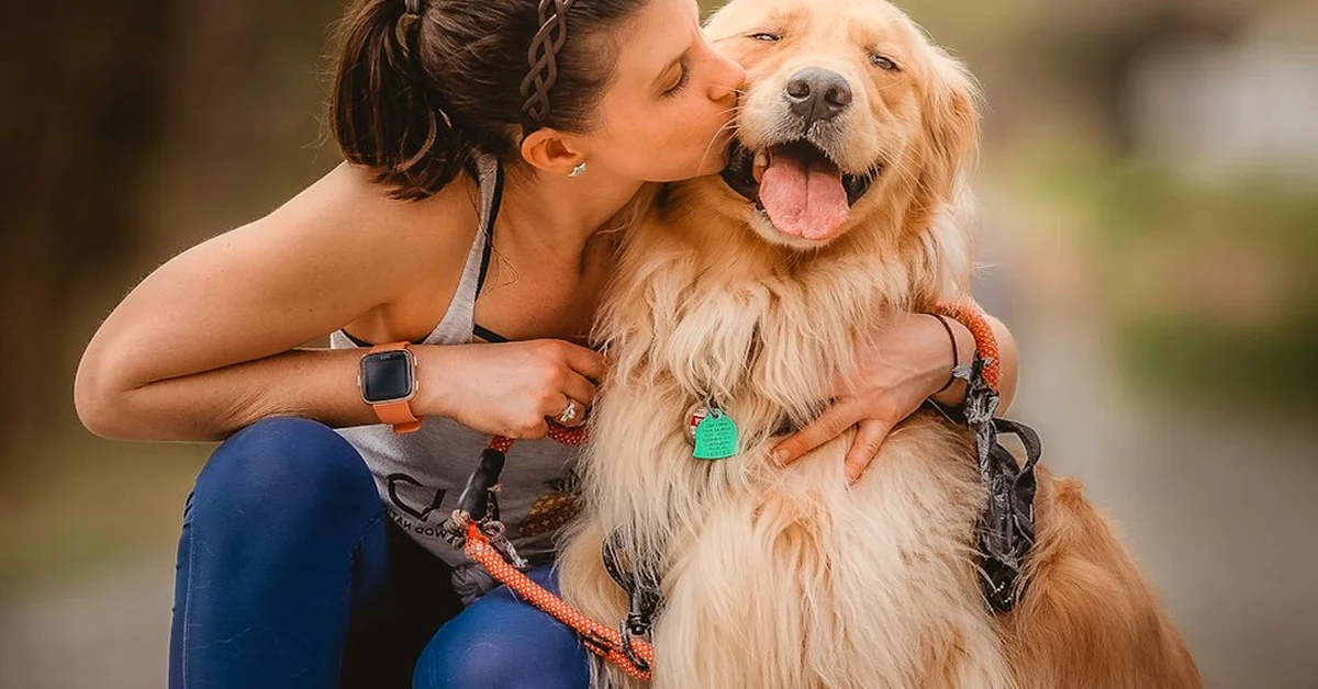 Tu tarifa diaria no es tu ganancia al cuidar perros