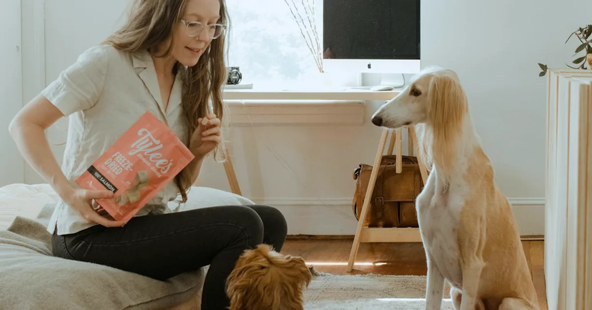 Un perfil no basta para cuidar perros de forma legal
