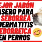 ¿Qué es la seborrea en perros?