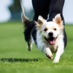 Comida diaria para perro en entrenamiento de deportes caninos