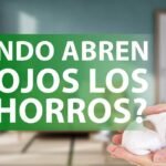 ¿Cuándo se abren los ojos de los cachorros?