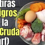 Deficiencias dieta BARF para perros: Riesgos ocultos que afectan la salud de tu mascota