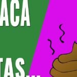 Heces negras en perros: Causas y tratamientos