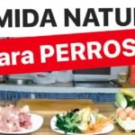 Ingredientes dieta BARF: el secreto que tu perro anhela