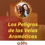 ¿Las velas son seguras para las mascotas?