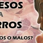 ¿Los perros pueden comer huesos de cerdo?