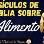 Los Perros pueden Comer Huevo Cocido: ¿Qué Dice la Ciencia sobre esta Práctica?