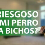 Los perros pueden comer insectos: ¿es seguro para su salud?