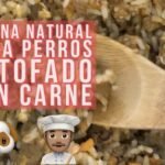 ¿Los perros pueden comer lomo de cerdo?