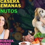 Los perros pueden comer mejillones: todo lo que necesitas saber