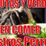 ¿Los perros pueden comer nabo?