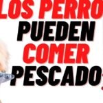 ¿Los perros pueden comer pescado?