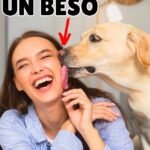 Los perros pueden ladrar con bozal: Mitos y realidades sobre su comportamiento