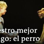 Los perros pueden montar en metro: Una realidad cada vez más común