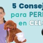 Los perros saben cuando una mujer está menstruando