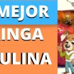 ¿Los perros tienen insulina?