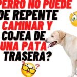 ¿Los perros tienen nervio ciático?