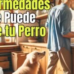 Los perros tienen una increíble capacidad olfativa