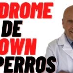 Los Perros y el Autismo: ¿Pueden los Perros Sufrir de Autismo?