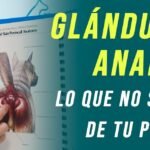 Los Perros y la Glándula en el Ano