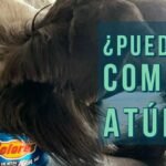 Los Perros y los Arándanos: ¿Es Seguro que los Perros Coman Arándanos?