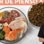 Mitos de la dieta BARF: la verdad que tu perro necesita saber