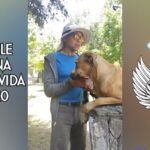 Contraindicaciones dieta BARF: lo que tu perro no te dice