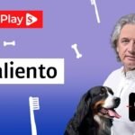 ¿Por qué los perros tienen mal aliento?