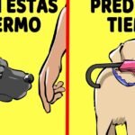 Por qué los perros ya saben nadar: Una habilidad innata