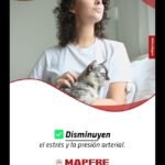 Seguro para perros de Mapfre