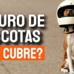 Seguro para perros: Santalucía vs. Caser