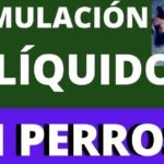 Todo lo que debes saber sobre por qué los perros tienen esófago